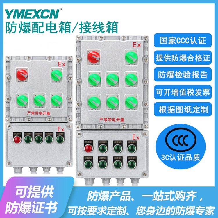 BXMD防爆配電箱IIB\/IIC級隔爆型風機控制箱開關箱照明動力配電柜