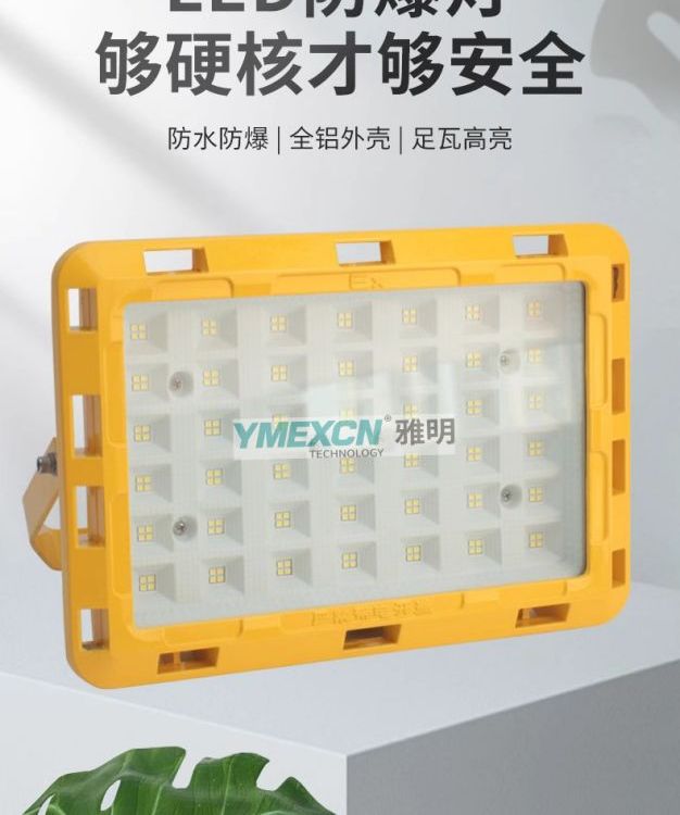 LED防爆燈化工廠房車間100W150W倉(cāng)庫(kù)加油站200W300W投光泛光燈