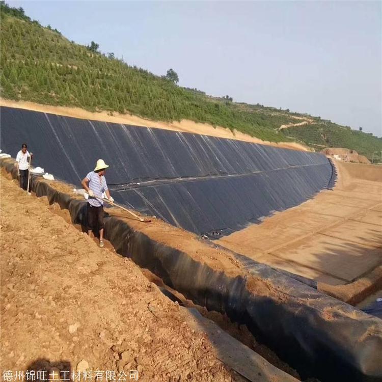 水產(chǎn)養(yǎng)殖地膜0.8mm_魚塘防水專用黑膜_蝦池防滲土工膜