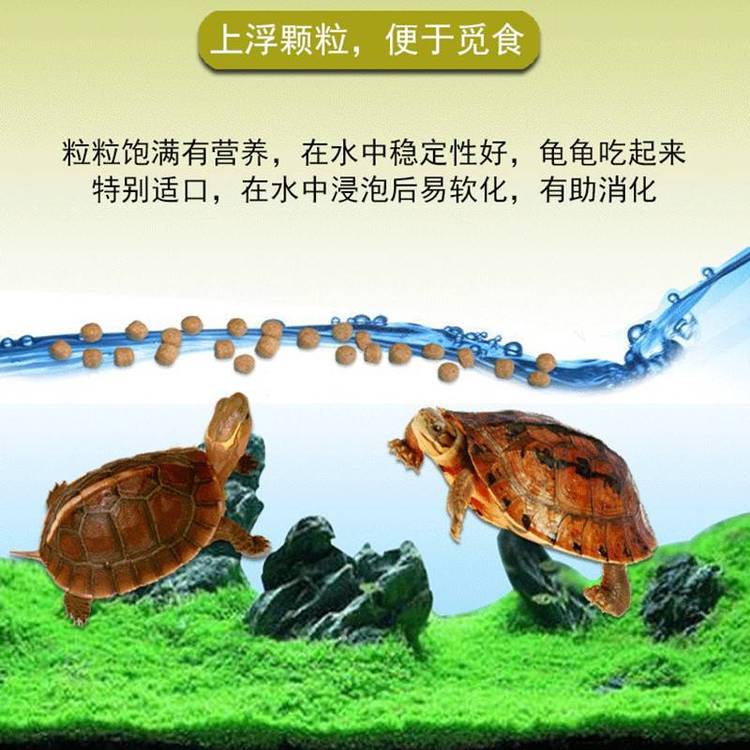 膨化浮水龜飼料加工機(jī)器寵物營養(yǎng)錦鯉魚糧生產(chǎn)設(shè)備