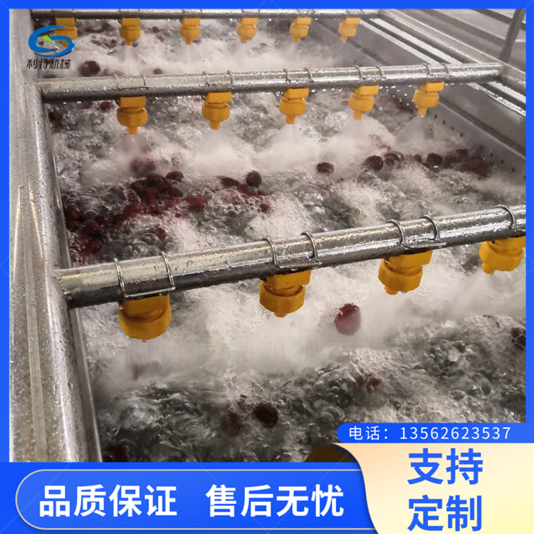 大棗清洗設備粽子棗氣泡洗棗機多功能鼓泡式清洗機