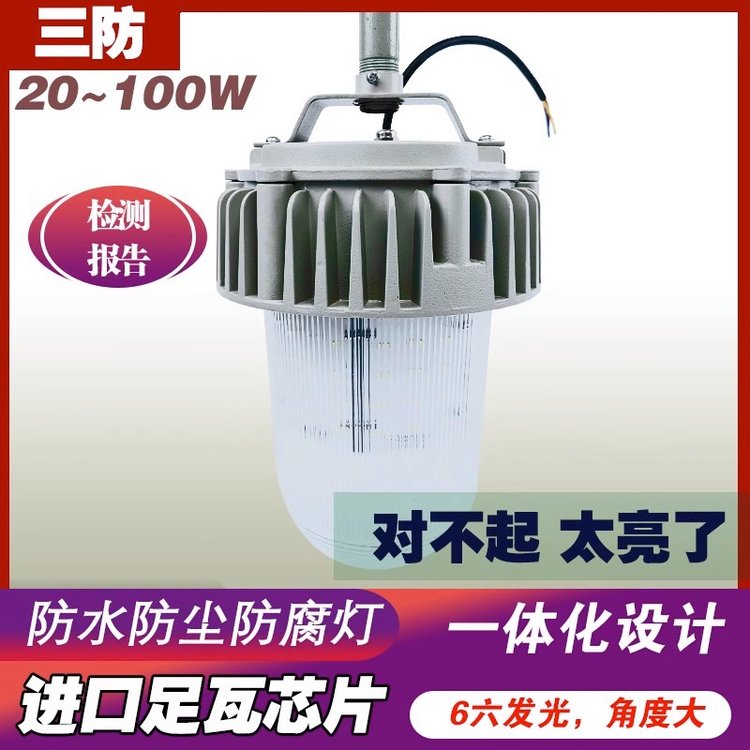 LED三防燈壁彎桿護(hù)欄立桿100W水泥熱電鋼鐵廠區(qū)室內(nèi)外平臺照明燈