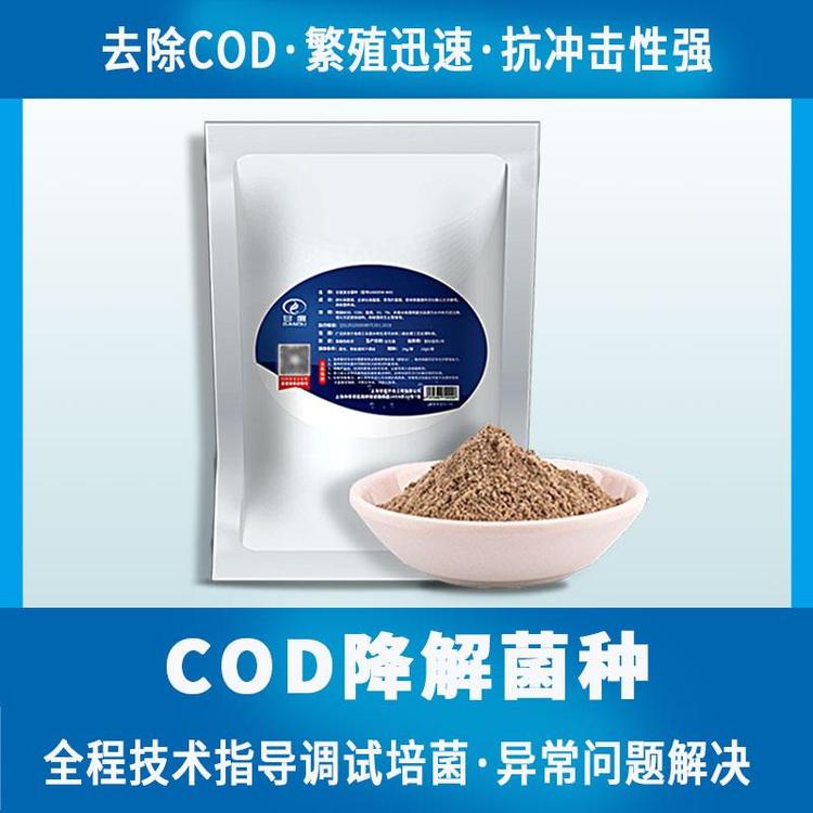 甘度復(fù)合物菌劑污水處理菌種一體化設(shè)備降解cod全程技術(shù)指導(dǎo)