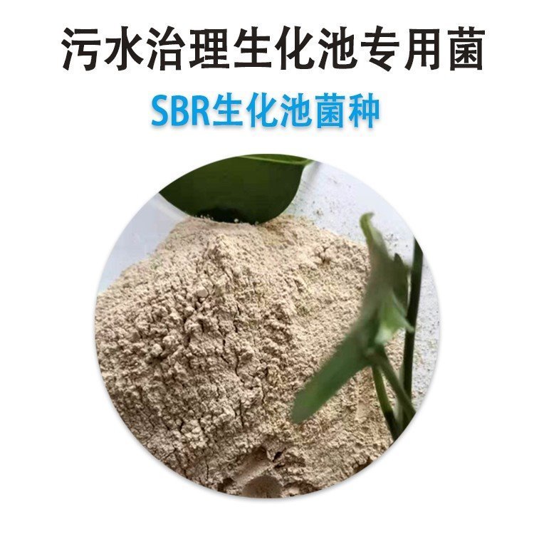 甘度廢水處理菌種-生化池生物菌劑快速降解總氮無二次污染