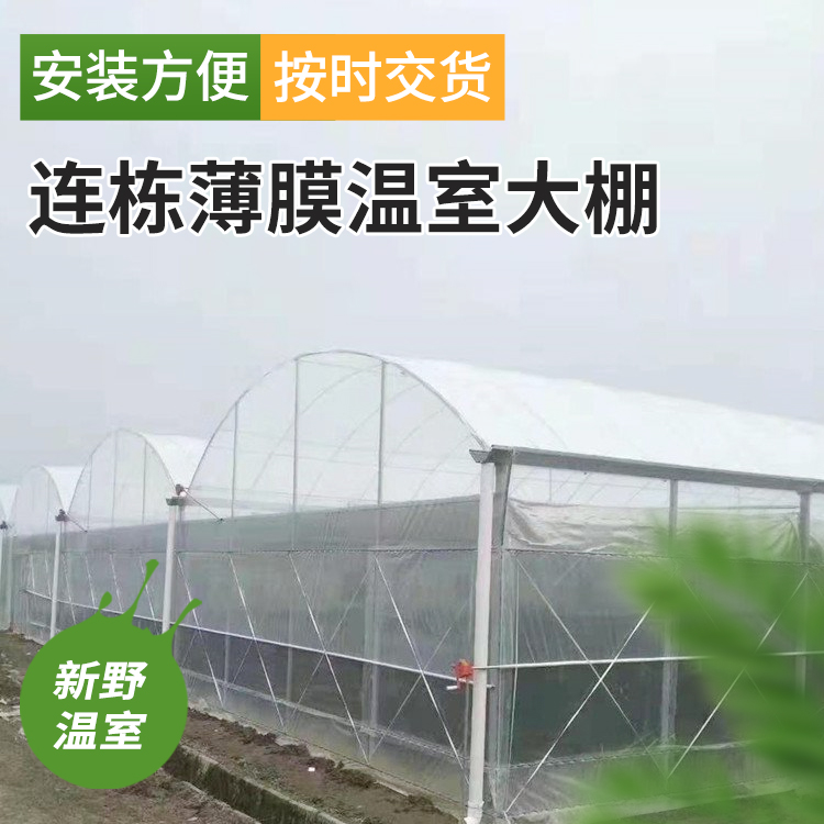 智能連棟薄膜溫室養(yǎng)殖大棚建設(shè)成本低新野工程承建