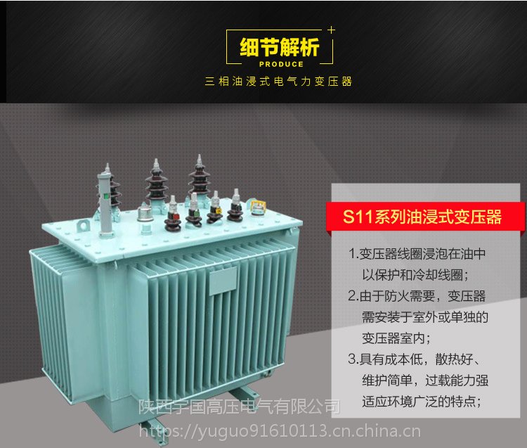 宇國(guó)資陽(yáng)市250KVA油浸式三相10KV高壓電力變壓器200KVA500\/630KW