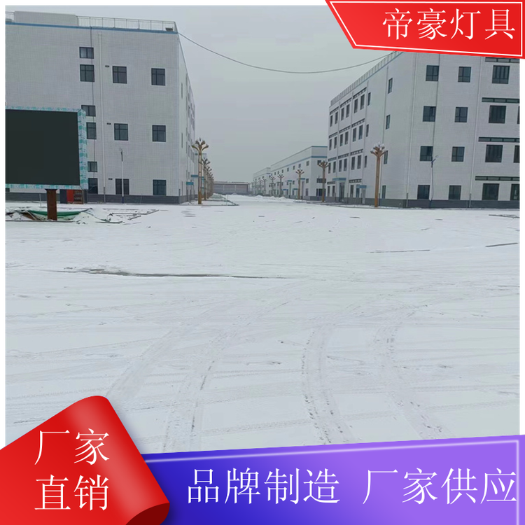 庭院路燈城市廣場(chǎng)照明燈防水防雷擊源頭廠家帝豪燈具