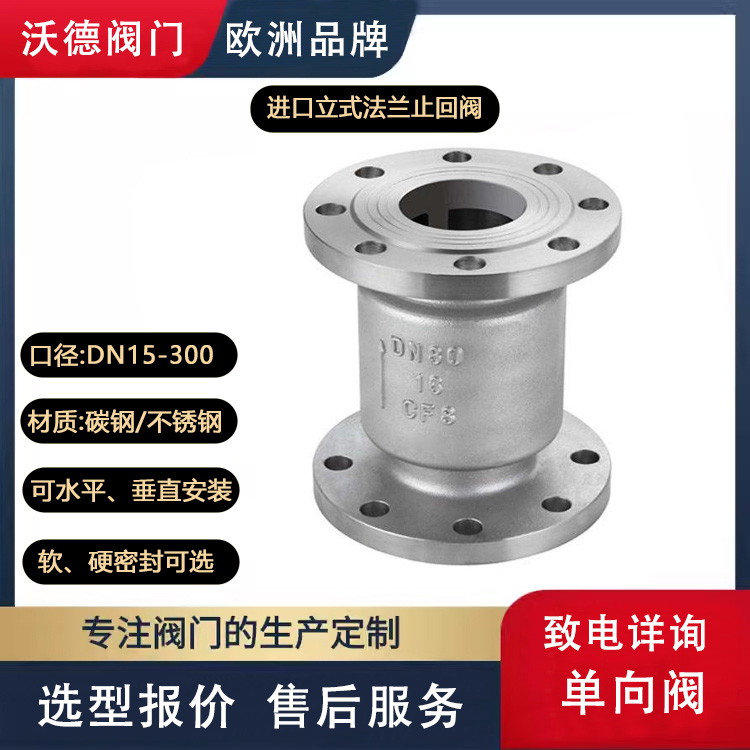 進(jìn)口立式止回閥消聲靜音單向閥空氣氫氣用零泄漏德國(guó)沃德WODE