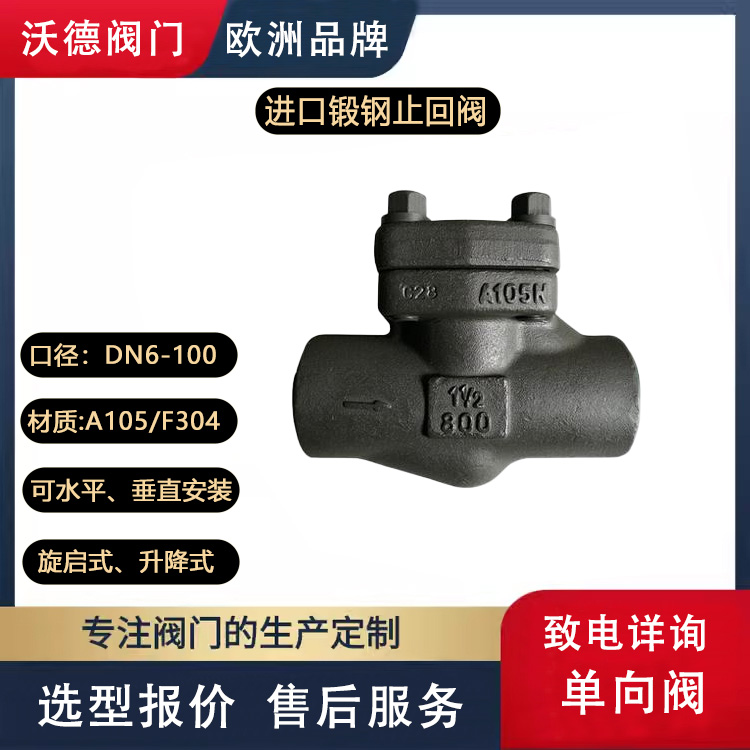 進口鍛鋼止回閥A105單向閥高壓型零泄漏F304材質德國沃德WODE