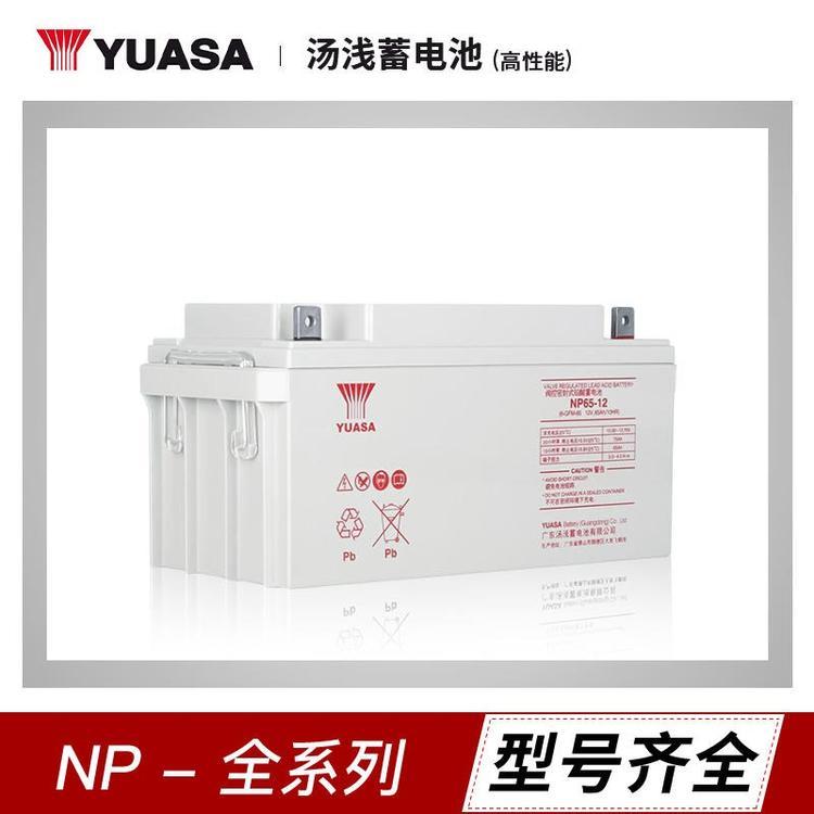 湯淺(YUASA)NPL100-12免維護蓄電池12V100AH電梯應(yīng)急門禁風(fēng)力發(fā)電UPS