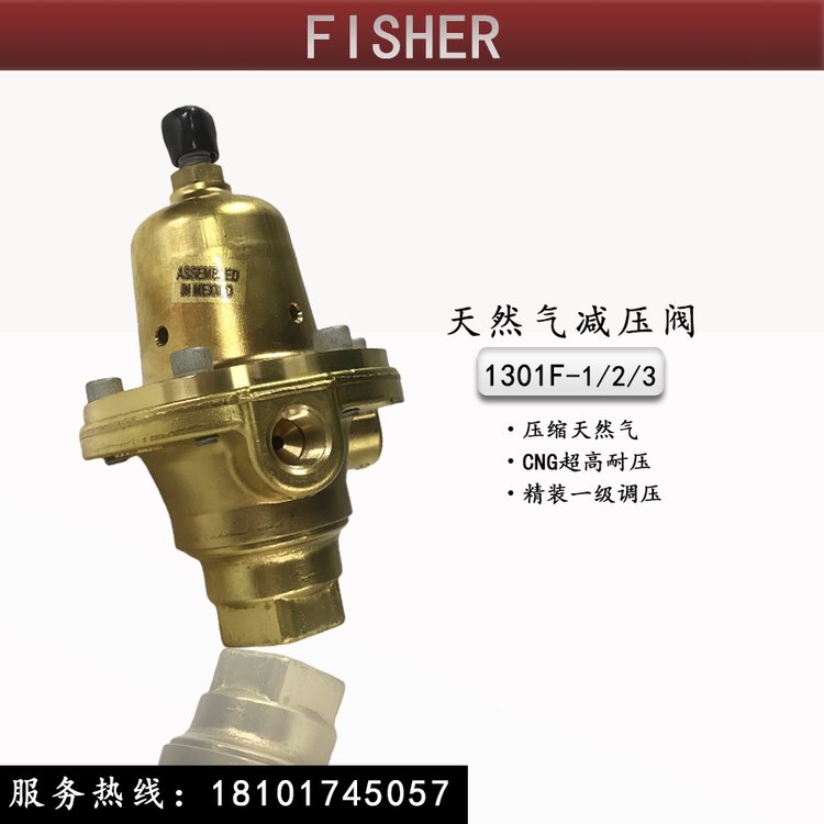 FISHER壓縮天然氣減壓閥1301F-1\/2\/3高壓燃氣調(diào)壓器1301G