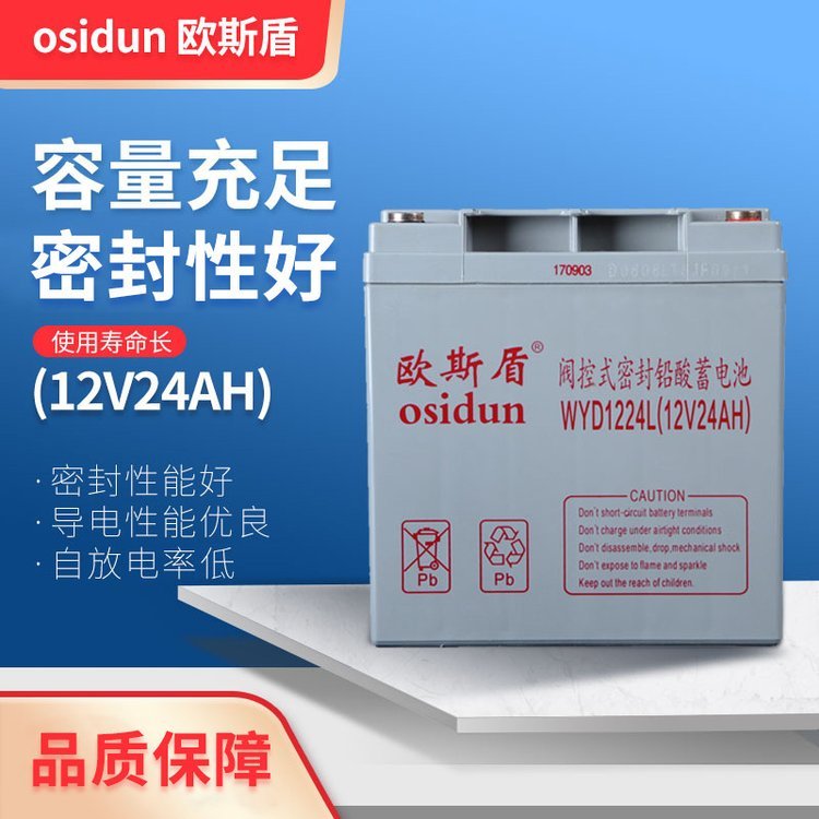 歐斯盾閥控式鉛酸免維護(hù)蓄電池UPS電池WYD1224L12V24AH