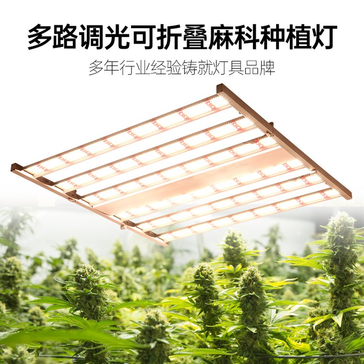 杭州全光譜八爪魚植物燈廠家供應(yīng)北美工業(yè)大麻種植生長燈