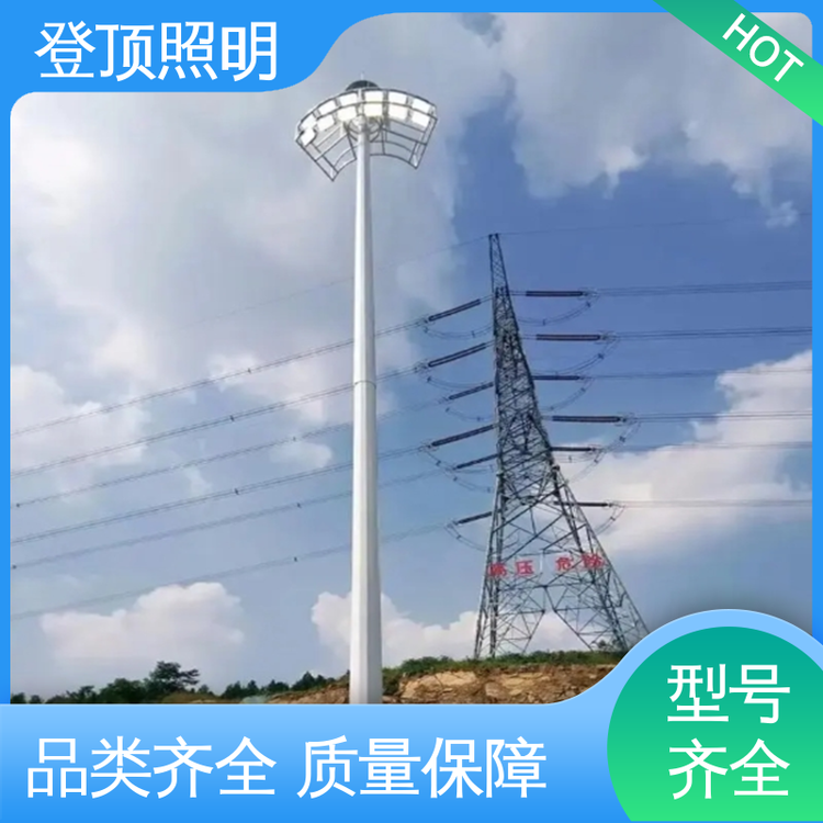 登頂照明可定制加工一體化成型LED路燈客戶至上