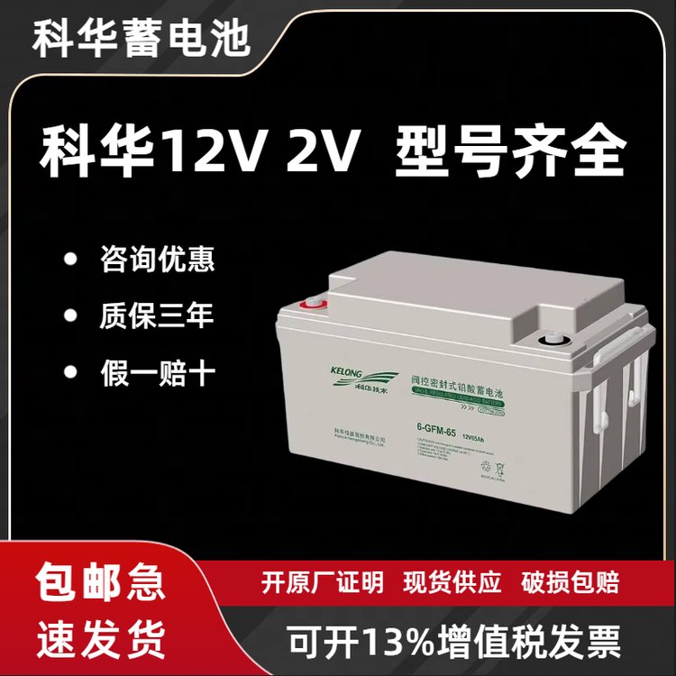 蓄電池6-GFM-100\/12V100AH免維護(hù)直流屏機(jī)房UPS電源用