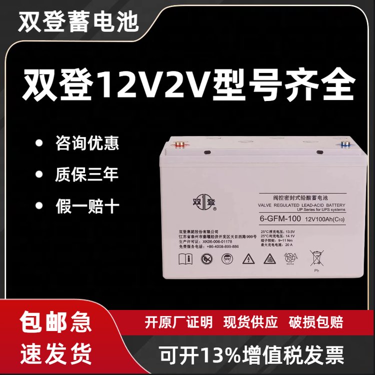 雙登蓄電池6-GFM-10012V100AH固定式密封鉛酸免維護電池質(zhì)保三年