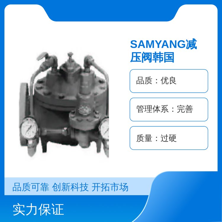 SAMYANG韓國蒸汽減壓閥不銹鋼法蘭規(guī)格齊全精細(xì)化工支持定制