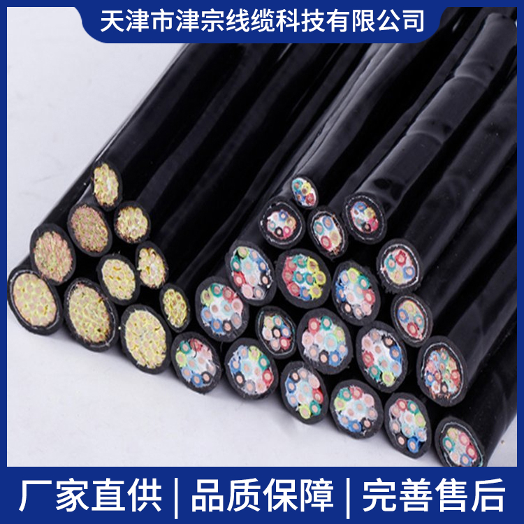 DJYPVR計(jì)算機(jī)專(zhuān)用電纜屏蔽控制電纜數(shù)據(jù)傳輸多芯軟線電纜津宗