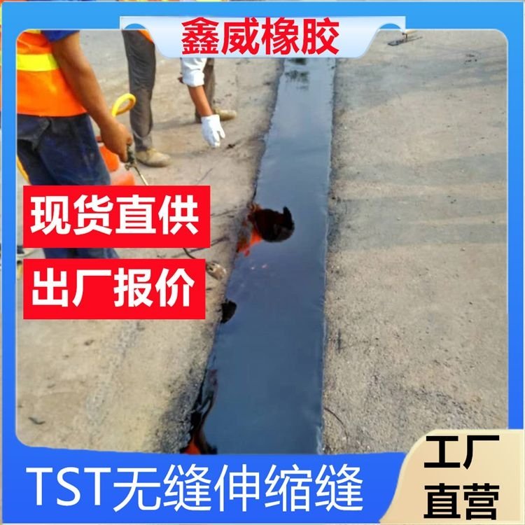 鑫威CD406080型伸縮縫公路地面伸縮裝置按需定制大量供應(yīng)