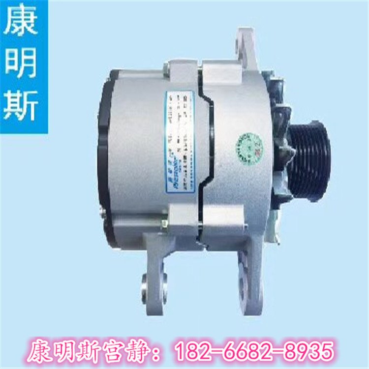 康明斯ISBE220馬力發(fā)電機(jī)總成AVE2710F7-VPP