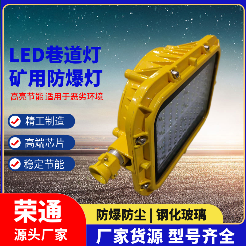 led集成防爆燈LED應(yīng)急燈DGS18\/127L多種行業(yè)適用