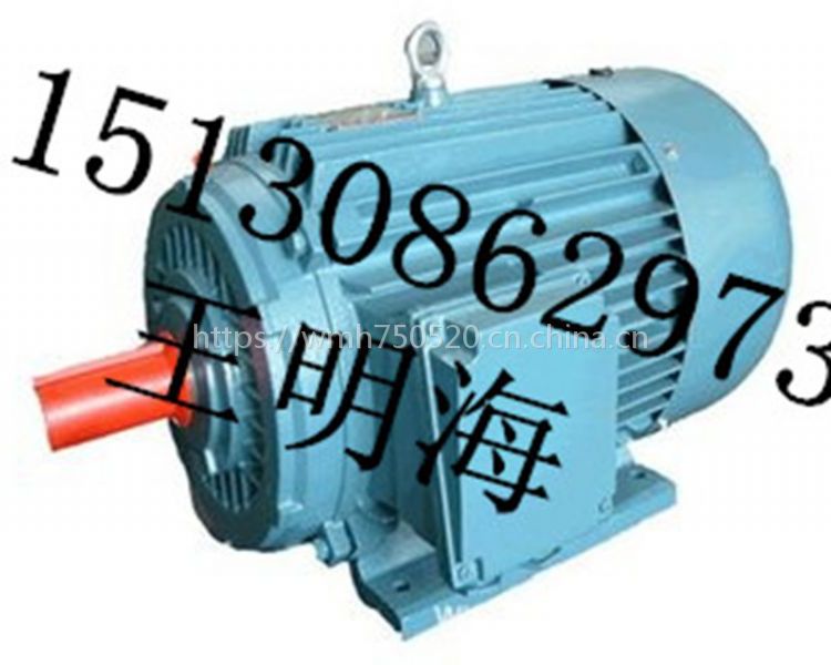 供應(yīng)衡水永動(dòng)YEJ132M-4-7.5KW電磁制動(dòng)電機(jī)