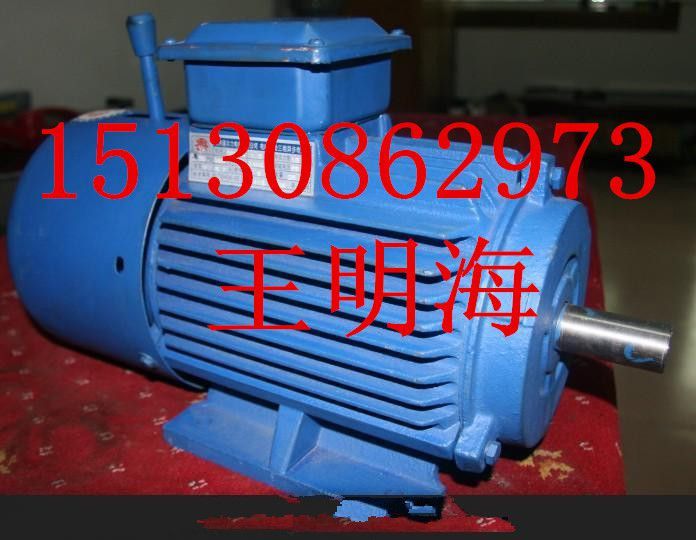 供應(yīng)衡水永動(dòng)YE3-280M-4-90KW超高效節(jié)能三相異步電動(dòng)機(jī)