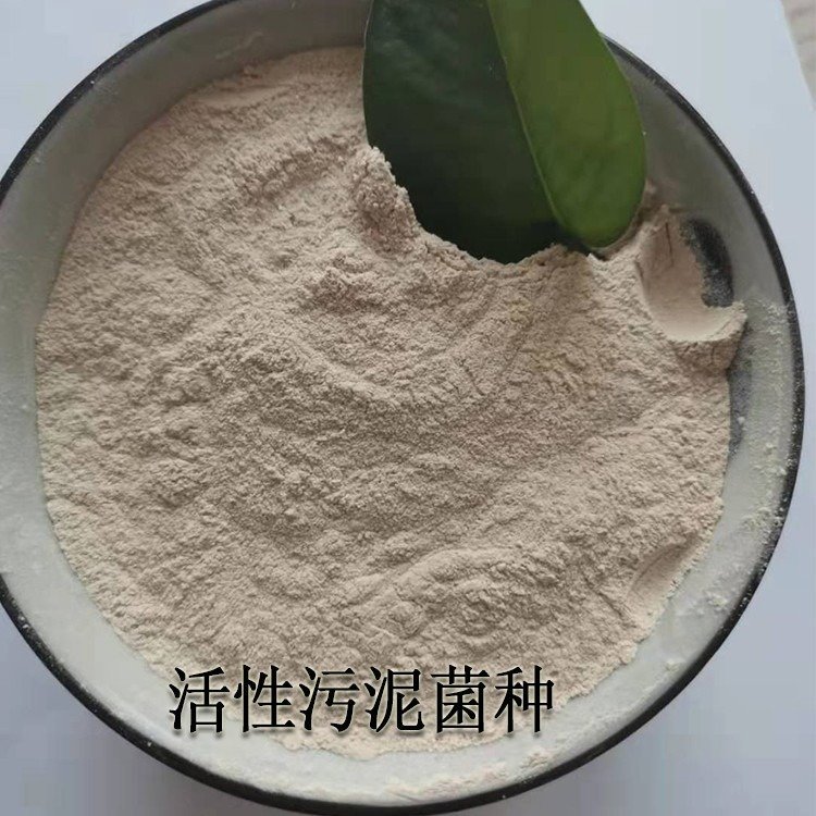 甘度污水處理菌-活性污泥菌種-硝化反硝化菌全程技術指導