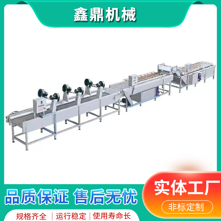 大棗清洗線高壓噴淋式氣泡清洗機商用不銹鋼凈菜加工設備