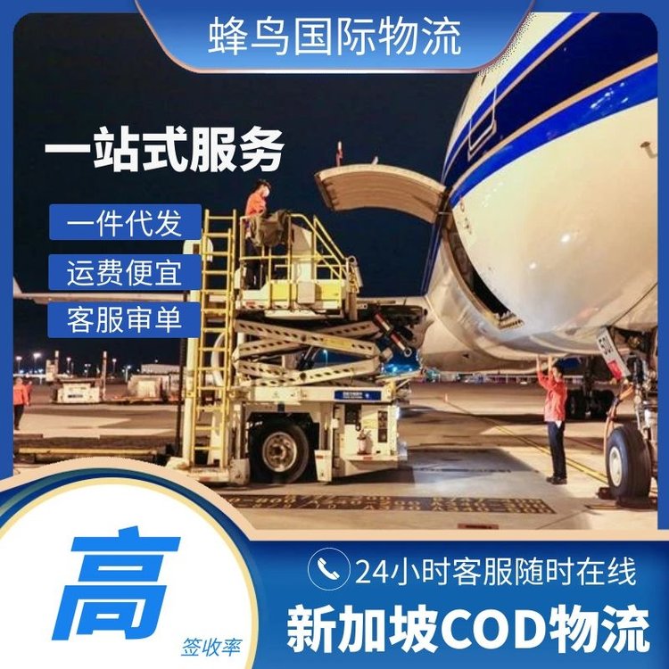 福建新加坡電商COD物流海外倉一件代發(fā)專業(yè)服務簽收高