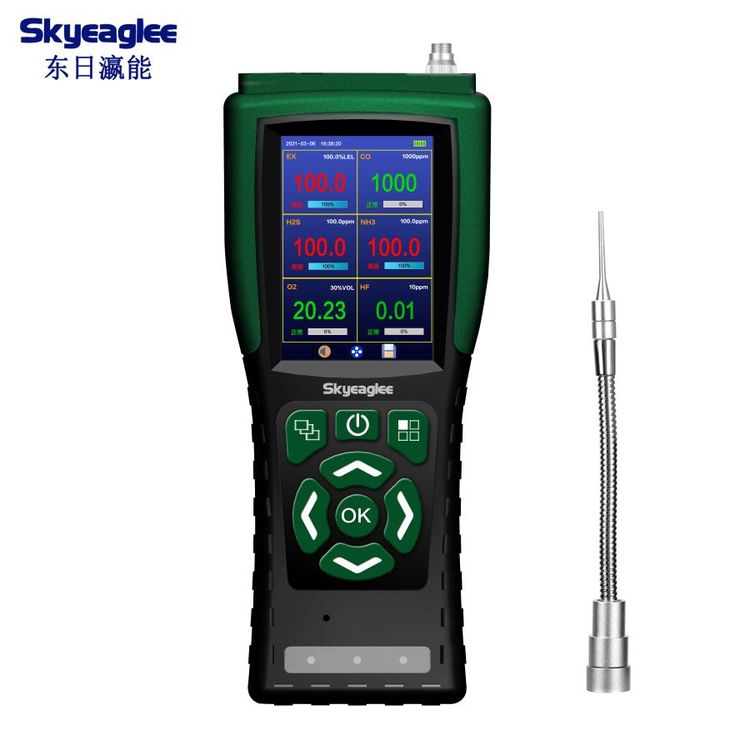 東日瀛能便攜式氣體檢測(cè)儀泵吸式有毒有害探測(cè)器多合一報(bào)警器