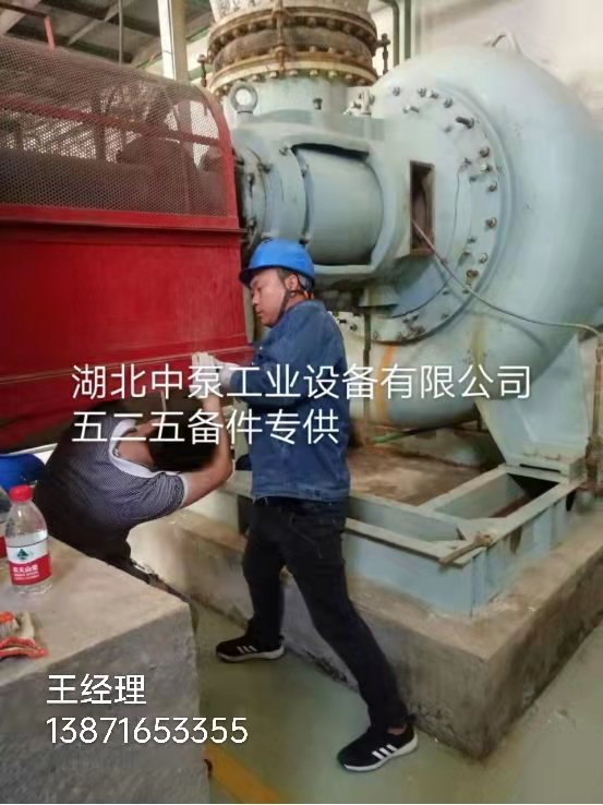 配套廠家五二五150ZD-600出口短管節(jié)接100ZD-360機(jī)械密封葉輪聯(lián)軸器膜片